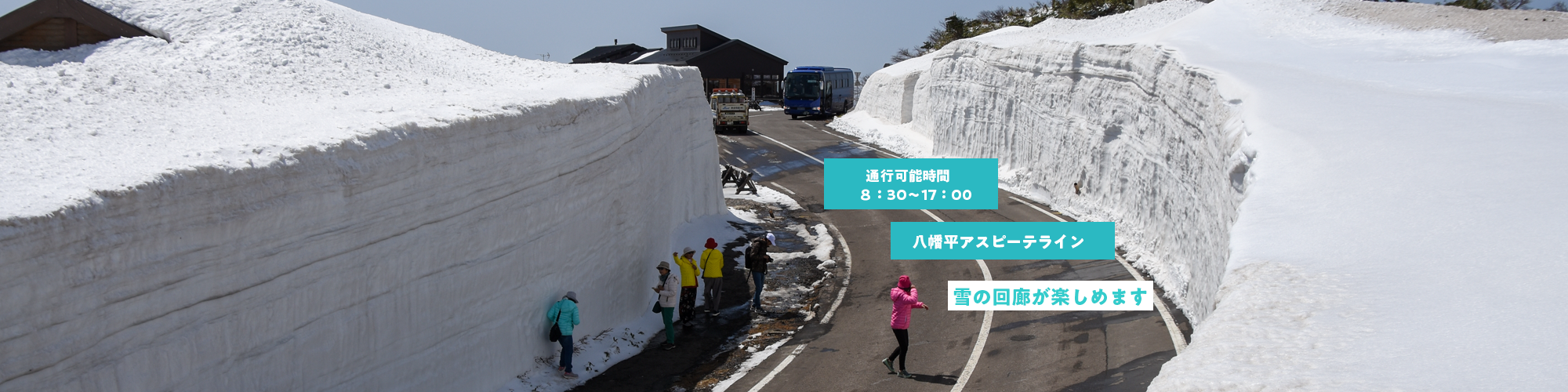 雪の回廊