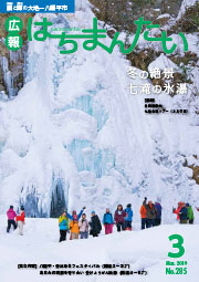 冬の絶景七滝の氷瀑