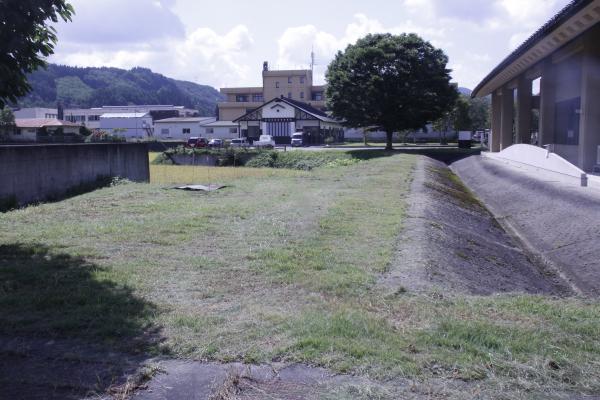 博物館の緑地