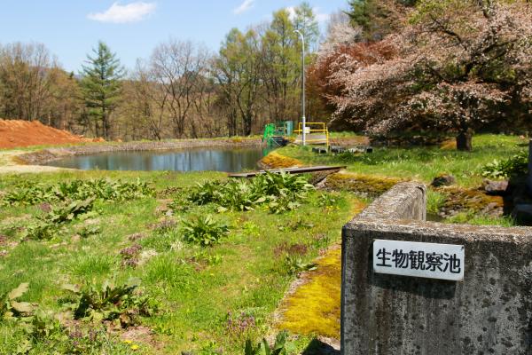 生物観察池の写真１