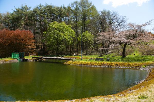 生物観察池の写真２