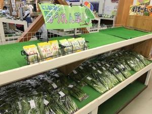 道の駅に出荷されているほうれんそう