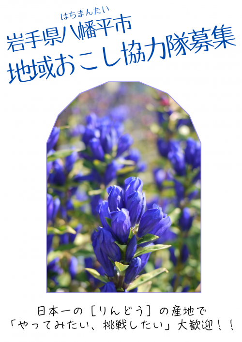 募集1の画像