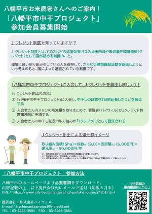 チラシ1
