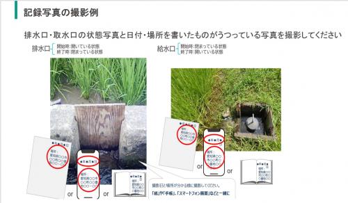 撮影例