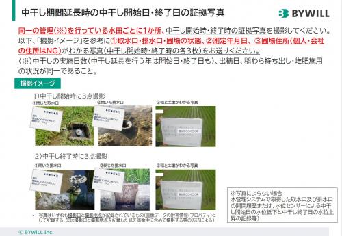 中干し期間写真撮影