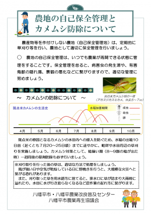 農地の自己保全管理とカメムシの防除について