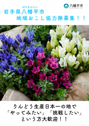 りんどう栽培ミッションチラシ