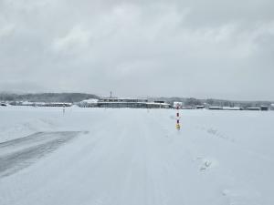 市役所前の画像