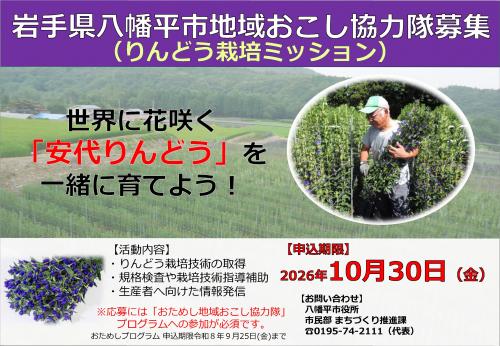 募集チラシ
